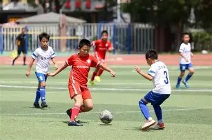 微视频,体育的力量,习近平这样,开云体育,开云体育官网,开云体育app,开云体育平台,KAIYUN,SPORTS,kaiyun登录入口