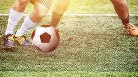 开云官网 产品 135336 daj