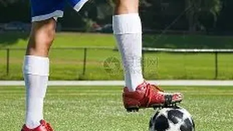 开云官网 资讯 133814 owg