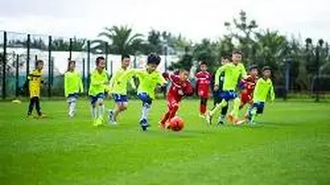 开云官网 产品 114923 zgy