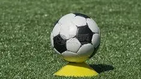 开云官网 产品 134432 d6k