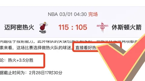 2025世界杯法国队简介