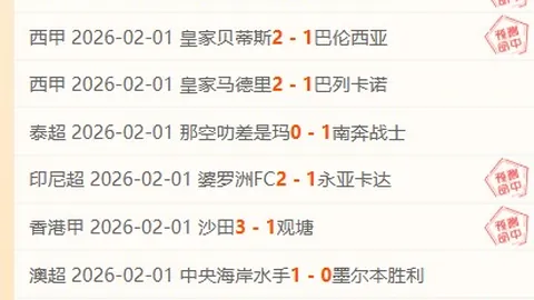 中央社会工作部引领，着力提升基层治理能力，推进接诉即办机制